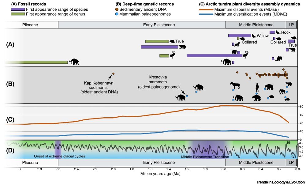 Timeline for the evolution of cold-adapted vertebrate and plant taxa.