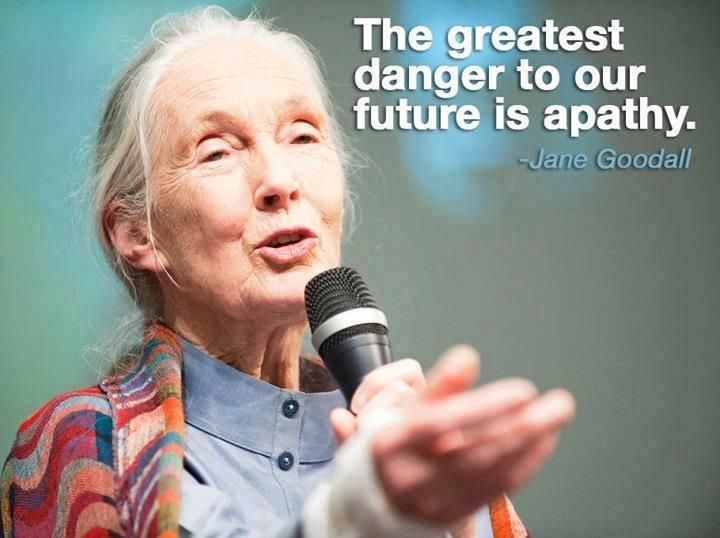 "The greatest danger to our future is apathy."
- Jane Goodall