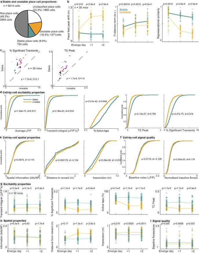 Properties of stable and unstable place cells within and across days.