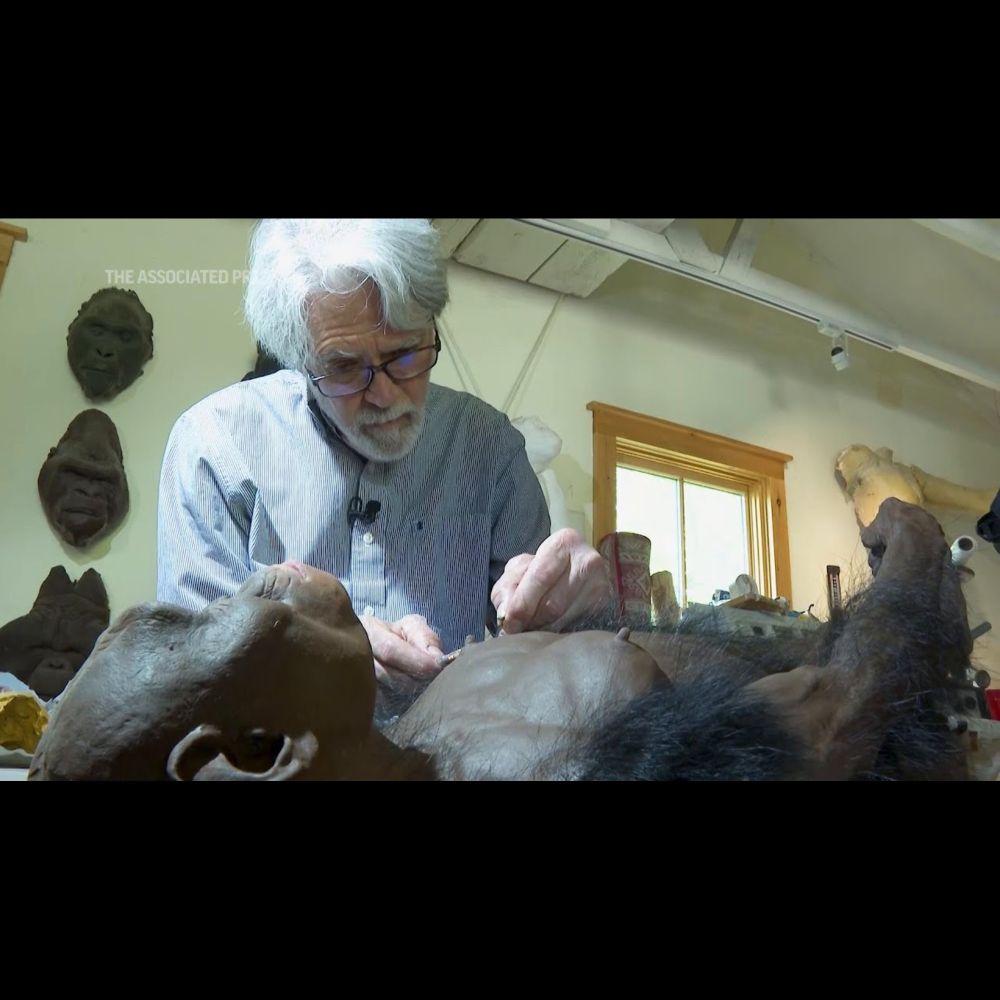 Paleoartist brings back faces from the ancient past