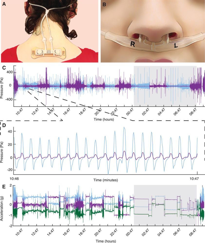Logging nasal airflow over extended periods of time