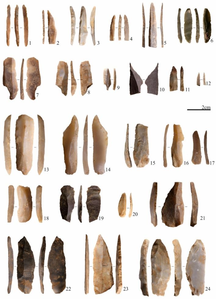 Lithic materials from the Epigravettian occupation (SUs 2, 3, 5, 7) of Grotta della Lea: total backed points (1–2-3–4-12–23); backed bladelets (5–6); shouldered blades (7–8-10); tangled bladelet (9); fragmented backed pieces (11–19); long end scraper (13); unretouched blades (14–15); truncated blade (16); partial backed blade (17); burin (18); marginal backed bladelet (20); elongated side scraper (21); denticulated scraper on blade (22); point (24).