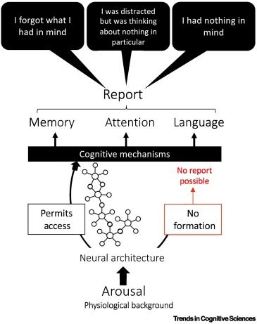 A physiocognitive account of the phenomenology of mind blanking (MB).
