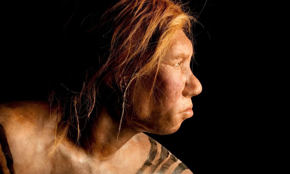Neanderthal reconstruction by The Kennis Brothers