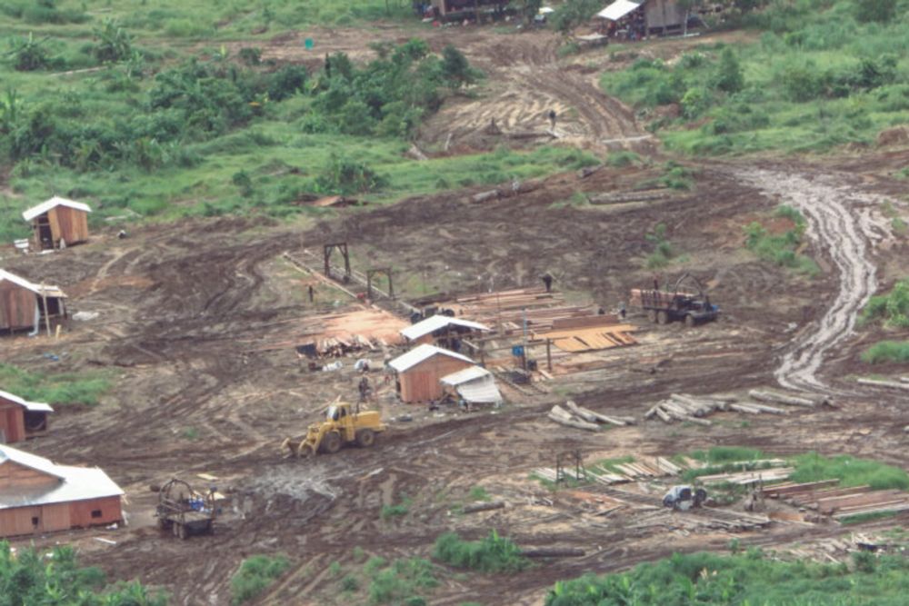 Cambodian environment minister bans logging at tycoon’s Cardamoms hydropower project