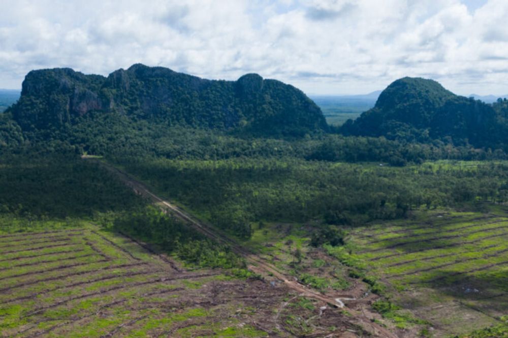 Mining company tied to Cambodian military officials grabs community forest