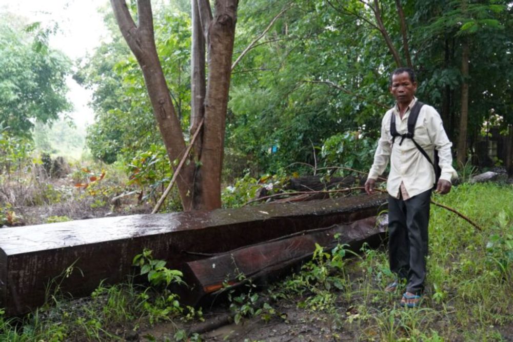 Reporter who revealed deforestation in Cambodia now charged with deforestation