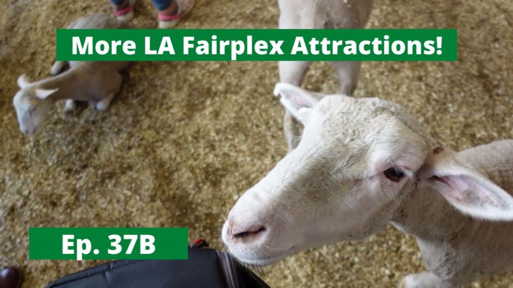 LA County Fair 2024: The Farm & Gardens and Fun Zone - Episode 37B