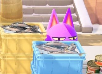 robert animal crossing derrière une caisse de poissons