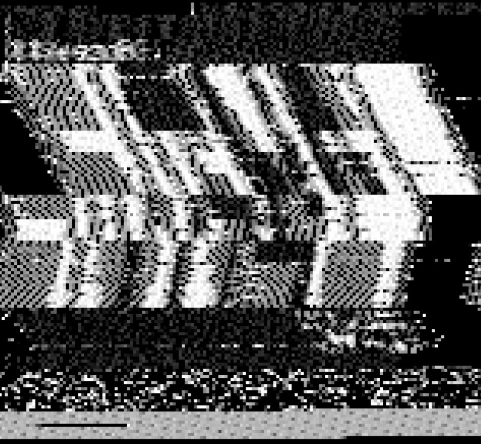 Scrambled SSTV image that could say 'signal' but is too hard to make out.
