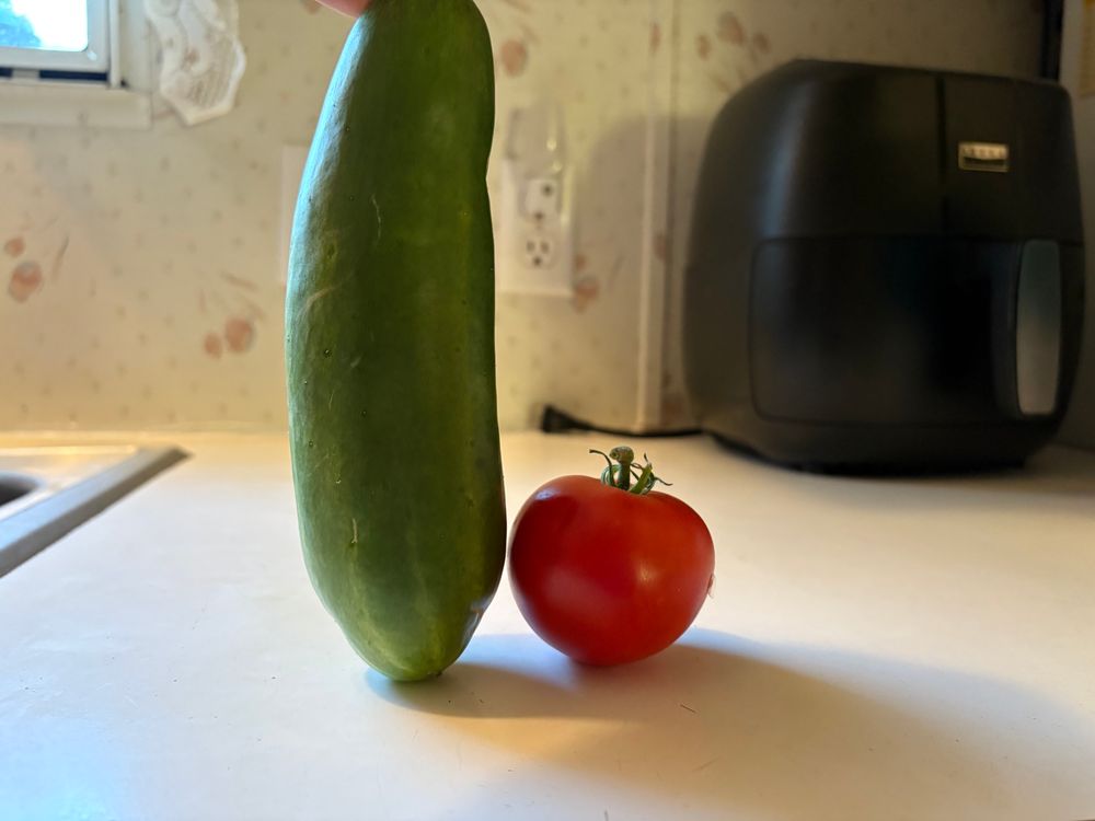 Centered on a white kitchen countertop are a medium size cucumber (left) and round Roma tomato (right). The cucumber is standing upright next to the tomato (also upright). They are positioned like Bob the Tomato and Larry the Cucumber are in Veggie Tales episodes. 