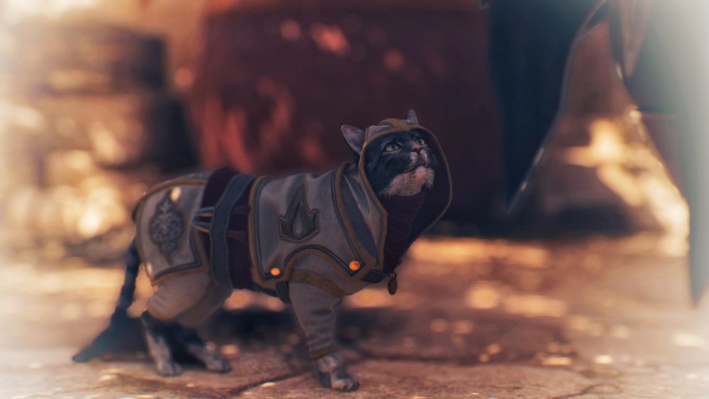 Catzio Meowditore da Purrenze wants pets