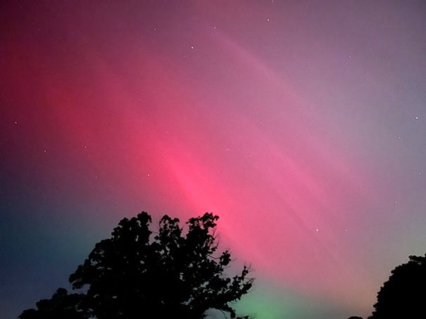 Pink rays overlay a pink glow behind the silhouette of trees in leaf. Stars are seen in the background. A green glow hugs the horizon, behind the trees, during the aurora of May 10, 2024.