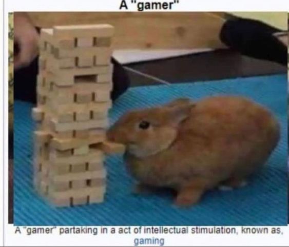 Comment image