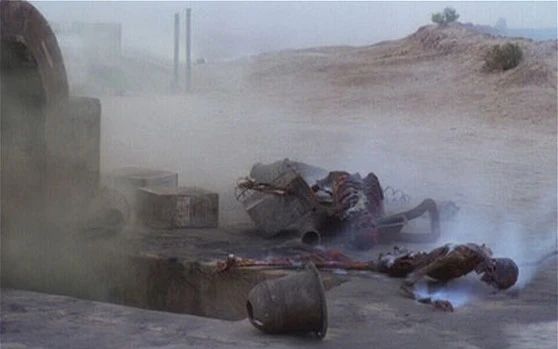 The burned out corpses of Owen and Beru Lars amidst the smoking ruins of their desert homestead. 