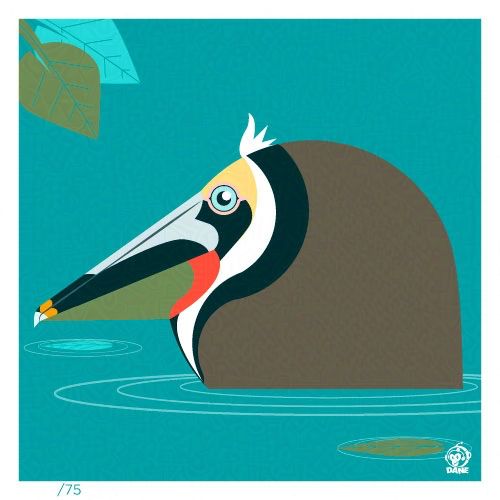 Borbified Brown Pelican