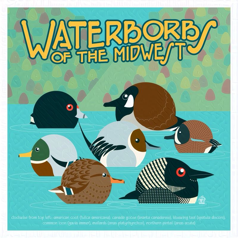 A coot, goose, 4 ducks and a loon as Borbs. Text reads waterborbs of the Midwest 
