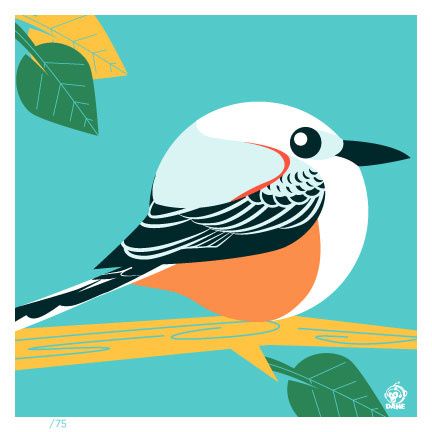 Scissor-Tailed Flycatcher borb