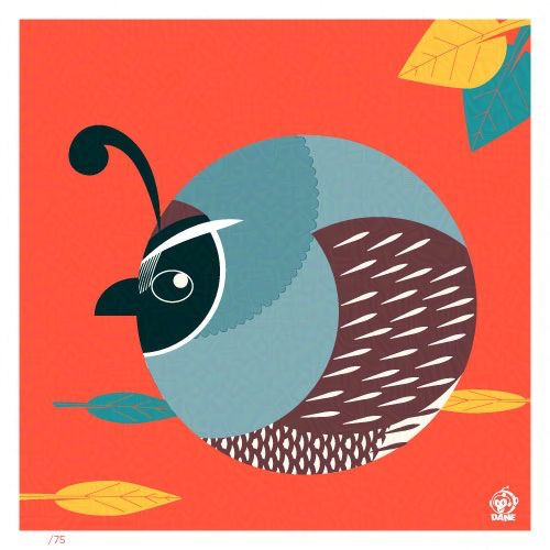 Borbified California Quail
