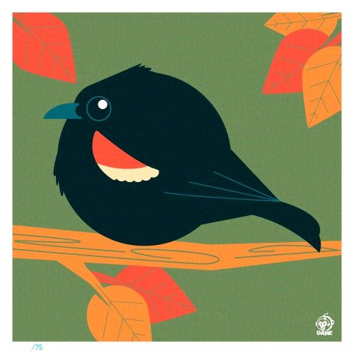 Borbified Tricolor Blackbird
