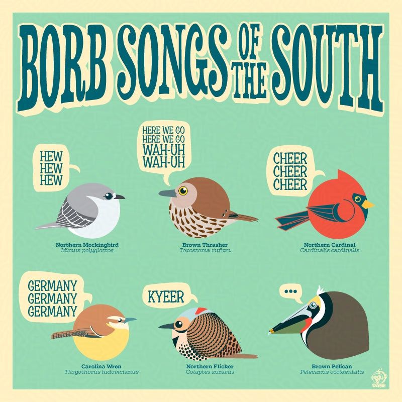 Borb songs of the south with mockingbird, brown thrasher, cardinal, wren, flicker and pelican Borbs