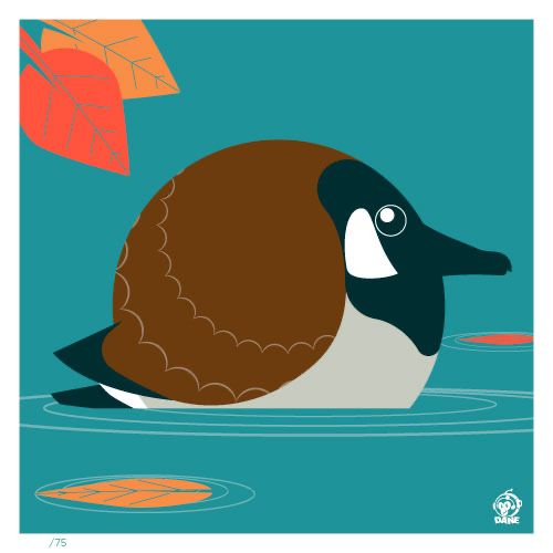 Canada Goose borb