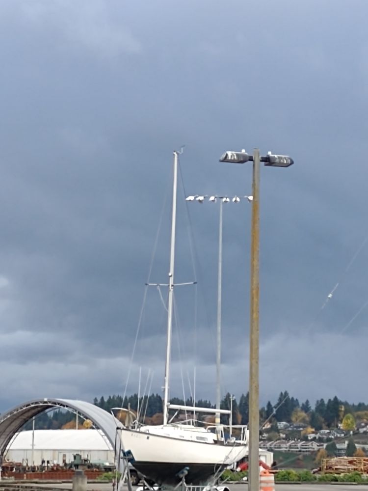 Stormy literal blue sky in the background bringing the rain showers.
