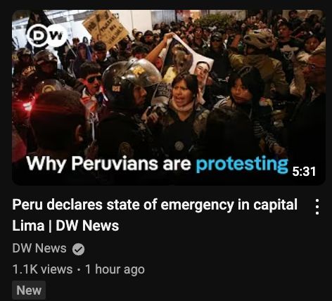 "why peruvians are protesting"

dw news
peru declares state of emergency in capital lima