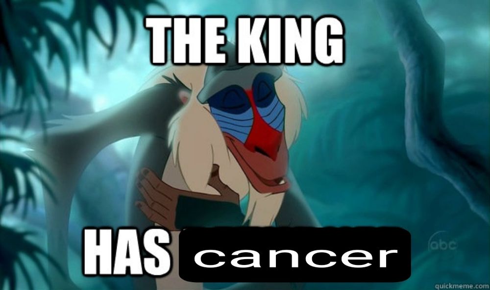 Rafiki from The Lion King bowing with the caption "the king has cancer"