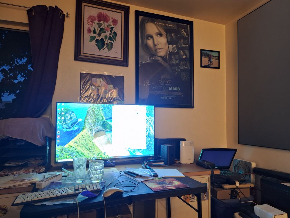 Painting of flowers by my mother, a 3d drawing by my daughter, a Veronica Mars Movie poster signed by Kristen Bell and several of the cast. A 47