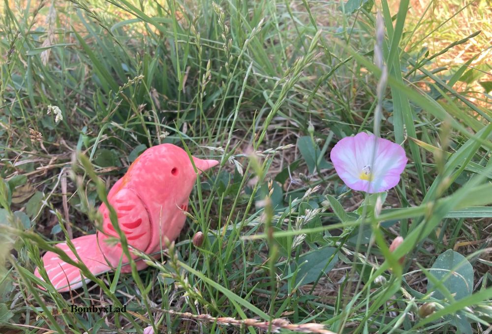 [ID: A sculpture of a red finch sitting in real grass, next to a pink morning glory flower. end ID]
