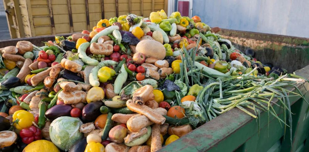 Earth Day 2024: 4 effective strategies to reduce household food waste | The-14