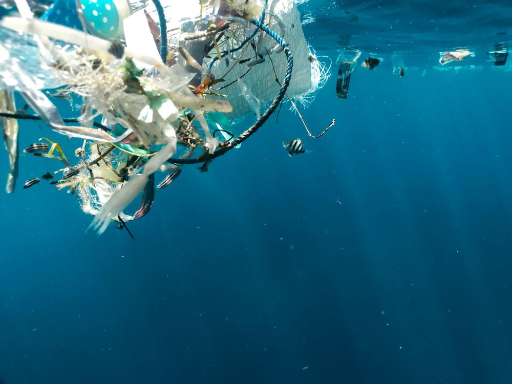 Avoiding a Trade Crisis as Countries Look to Phase Out Plastic Pollution | The-14