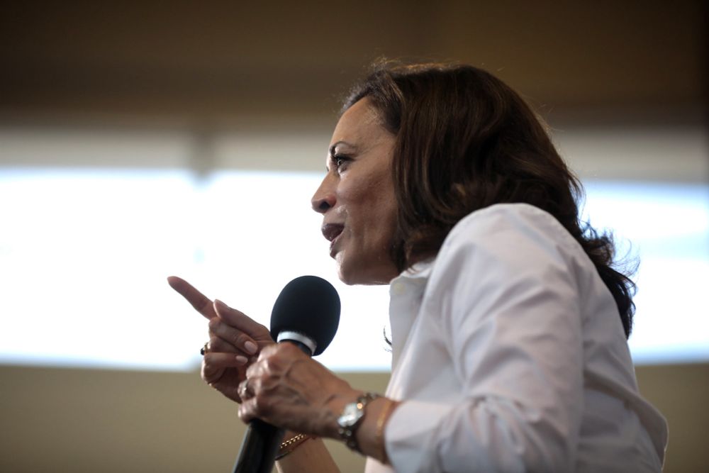 Democratic Party’s choice of Harris was undemocratic − and the latest evidence of party leaders distrusting party voters | The-14