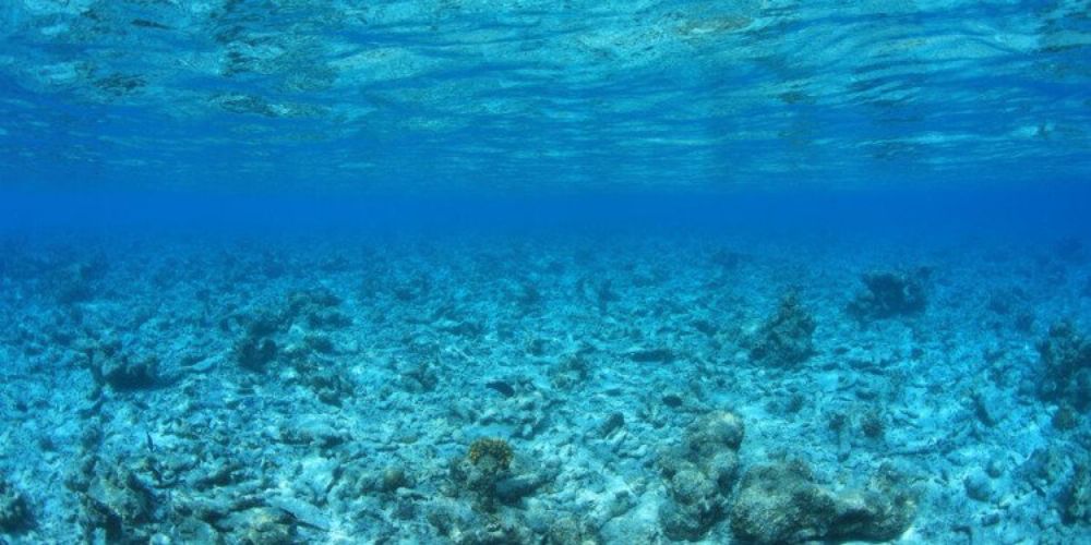 Law of the Sea Ruling Is an ‘Important Milestone’ for Climate and Ocean Action | The-14