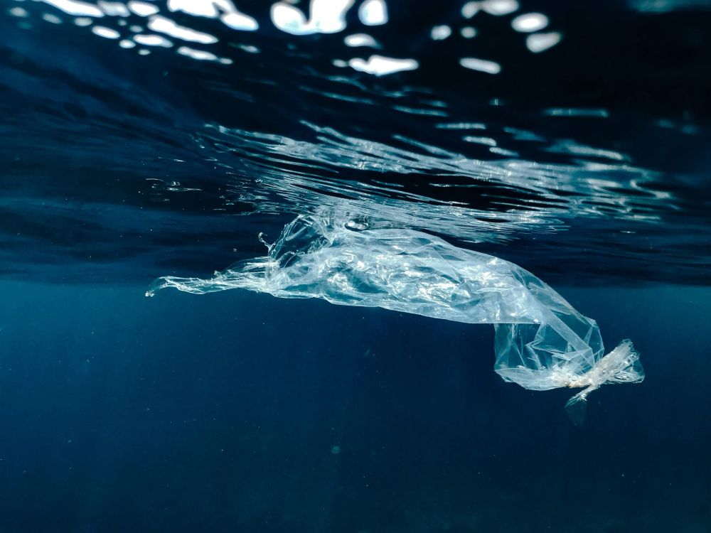 Scientists Discover a New Way to Break Down Plastics | The-14