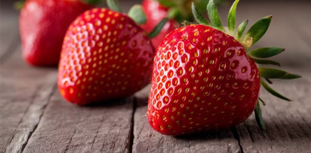 OpenAI’s Strawberry program is reportedly capable of reasoning. It might be able to deceive humans | The-14