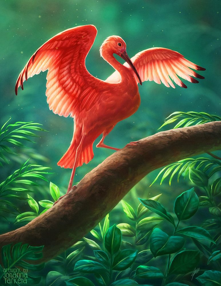 A bright red coloured scarlet ibis on a vibrant green jungle background