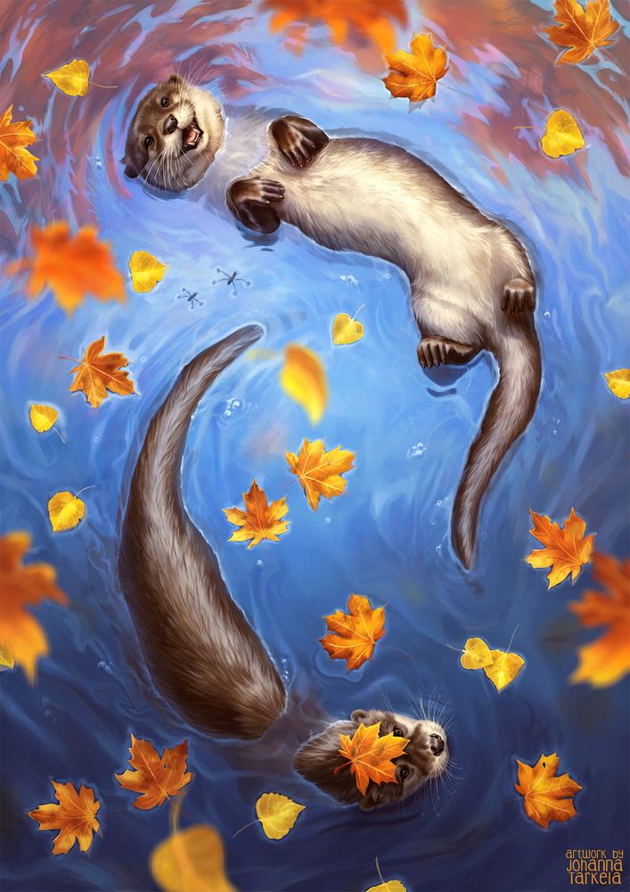 Two otters playing in bright blue water, perspective from above with orange leaves falling on them