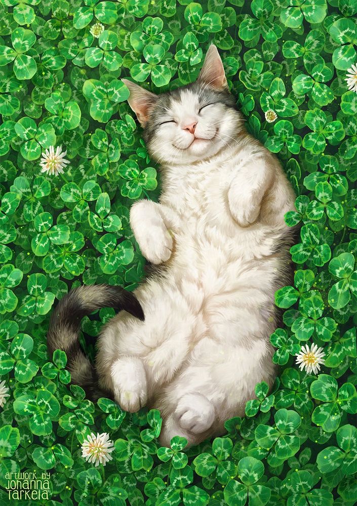A happy little white and grey cat in a field of clovers, pictured from above.