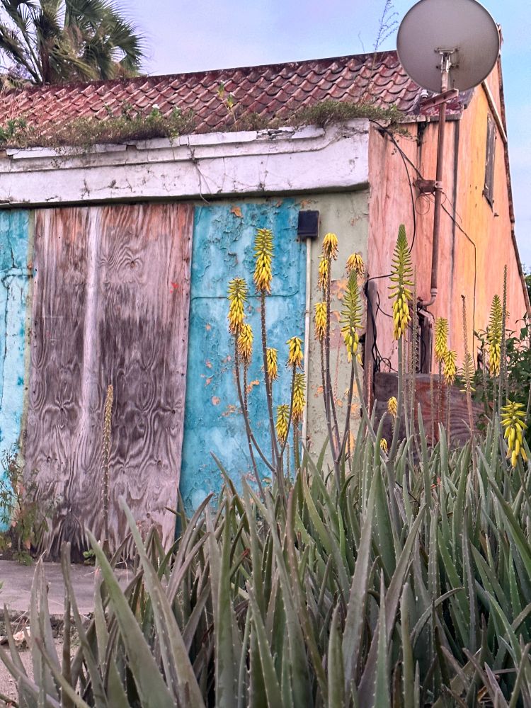 A boarded up house with teal blue paint and a tiled roof in Aruba.