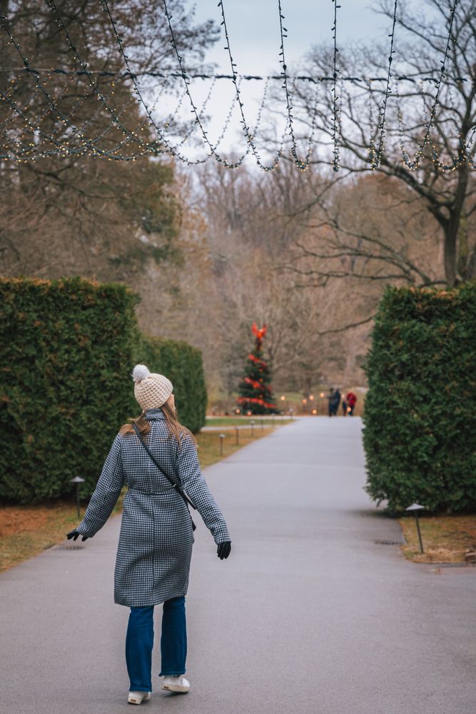 My wife walking through a Christmas garden with a Christmas tree in the distance