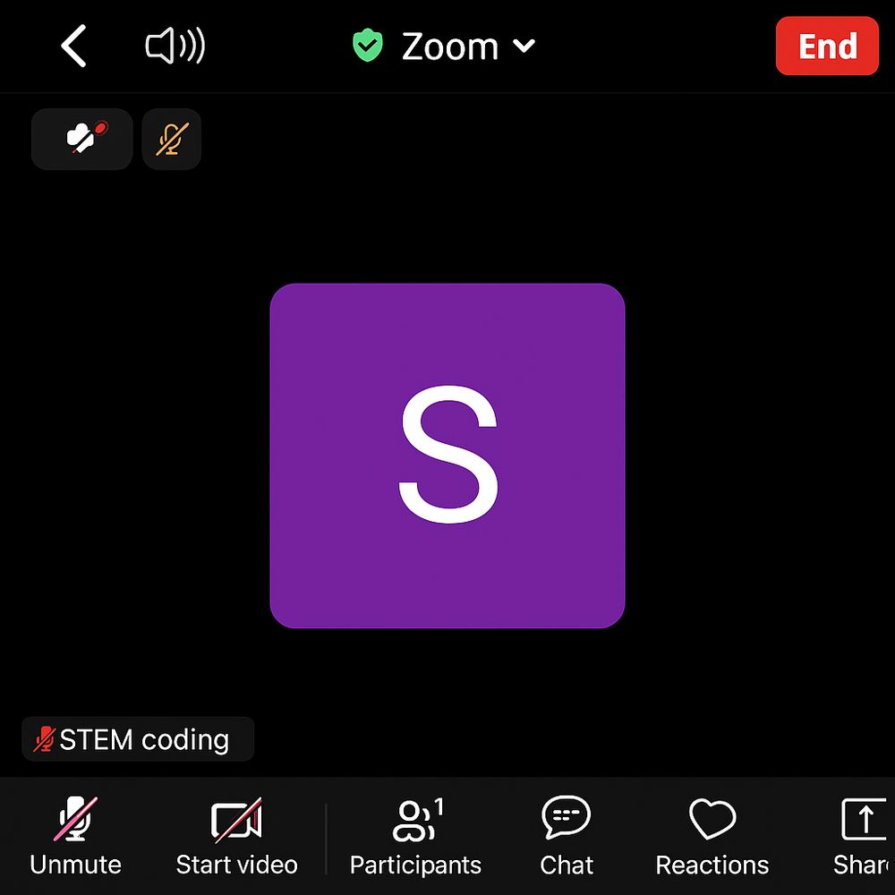 A screenshot of a zoom meeting with no camera feed