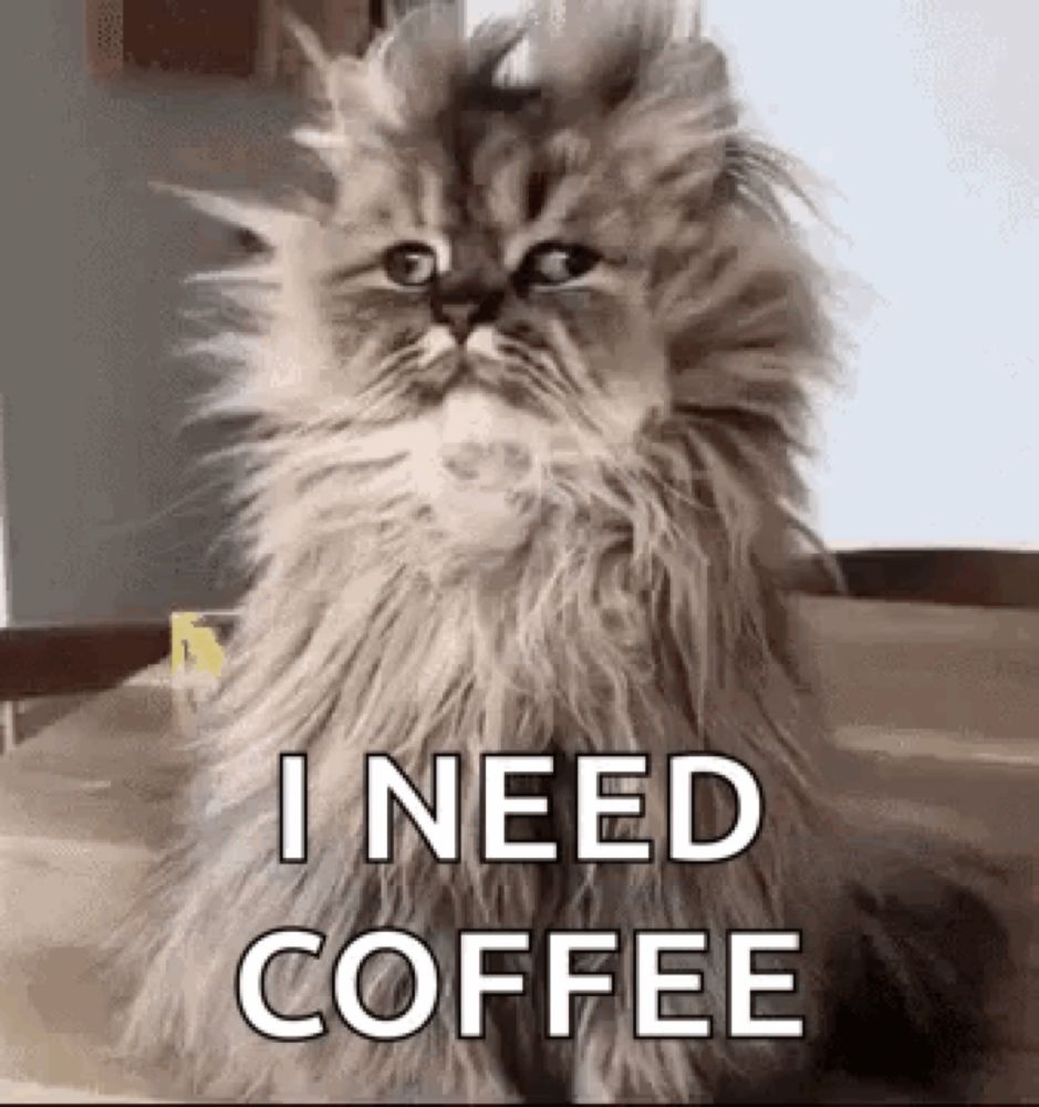 a fluffy cat is sitting on a wooden table and saying `` i need coffee '' .