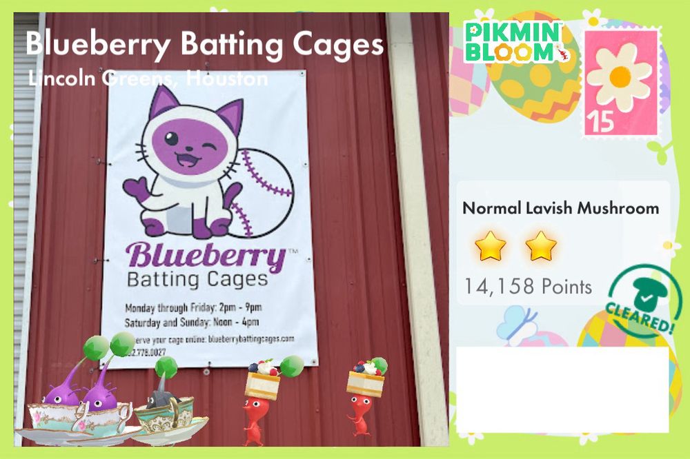 Blueberry Batting Cages