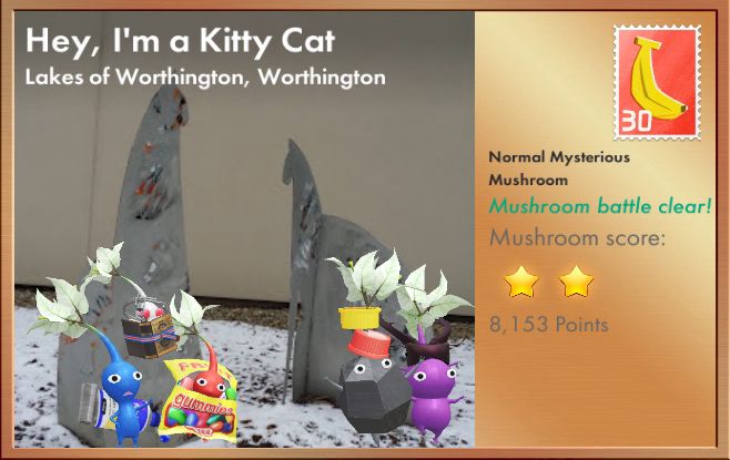 Hey, I’m a Kitty Cat