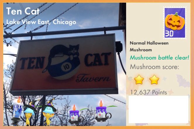 Ten Cat