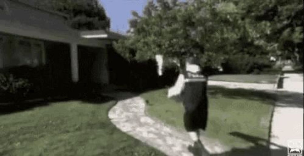 Delivery Kick GIF