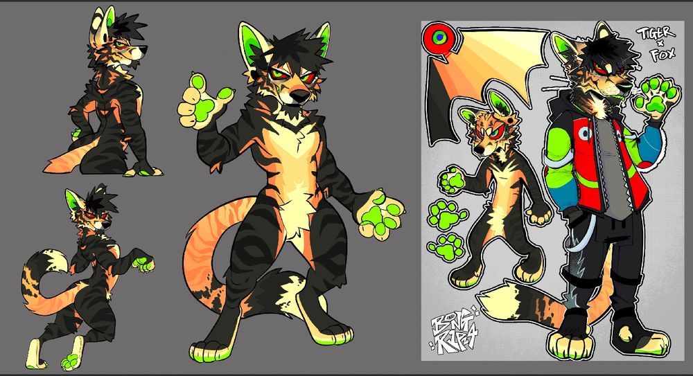 A multi-view reference sheet in progress of a tiger-fox hybrid that has a lot of orange, green and black with stripes