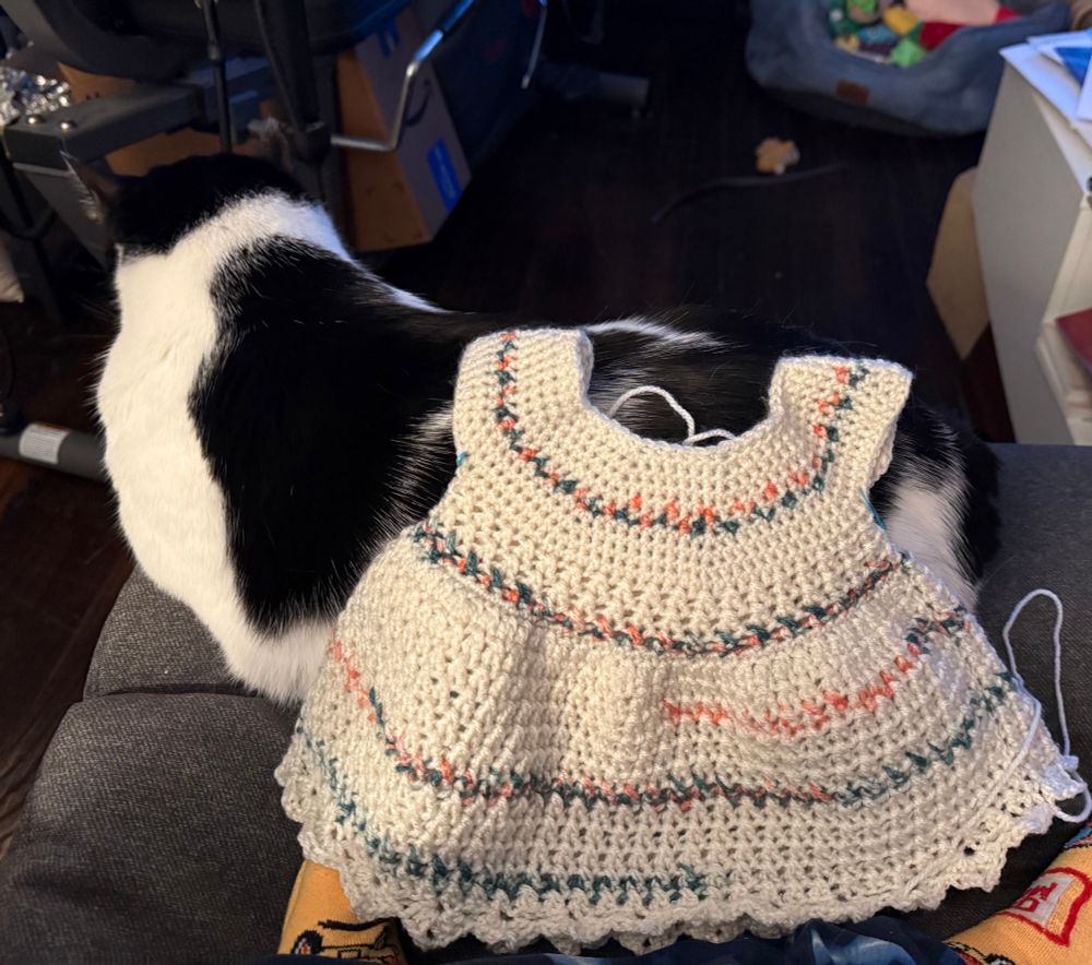 a crochet baby dress draped over a black and white cow cat